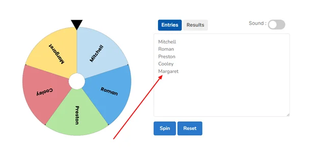 Using Spinthewheel.pro