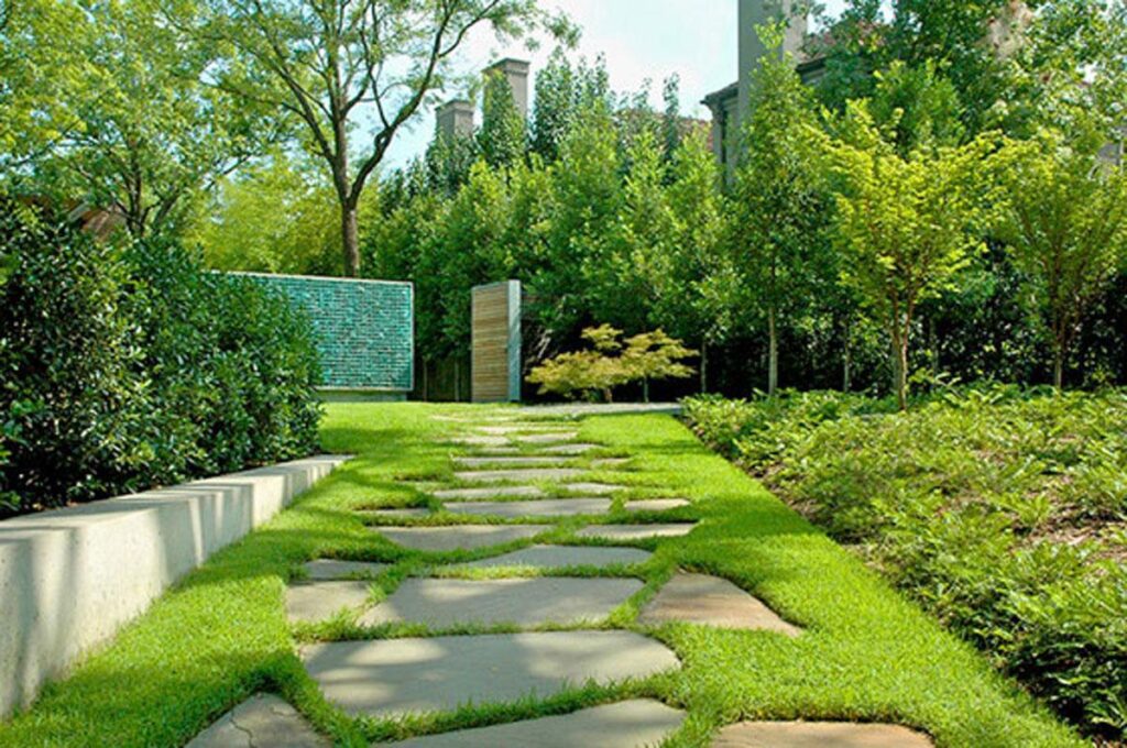 Create a Functional and Appealing Landscape Design