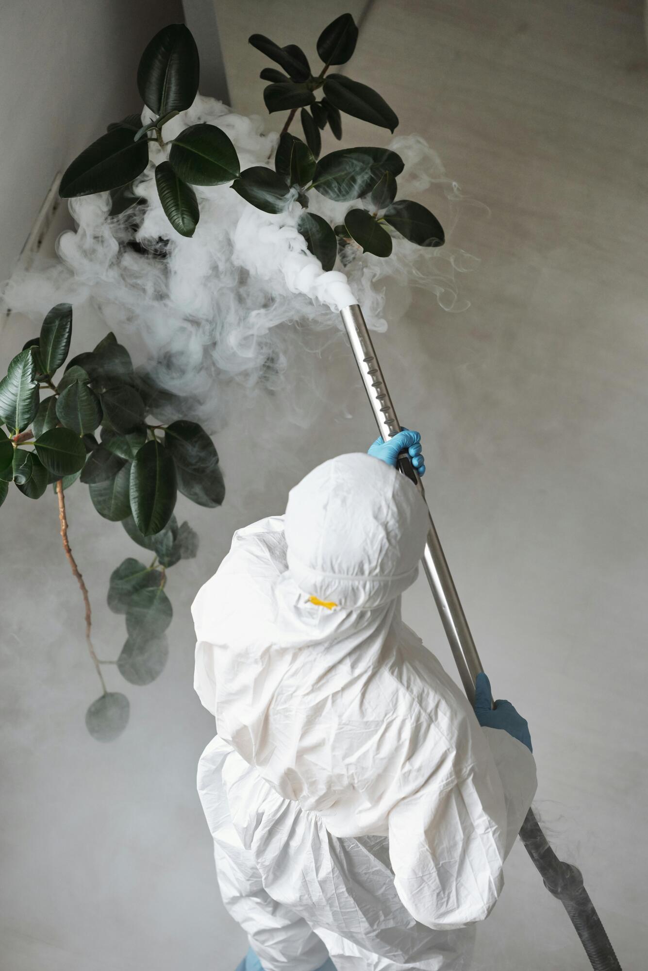 fumigation services